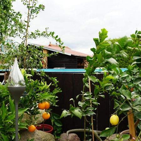 Pension Limone Ferienwohnung 1 Neu Lindenberg ภายนอก รูปภาพ